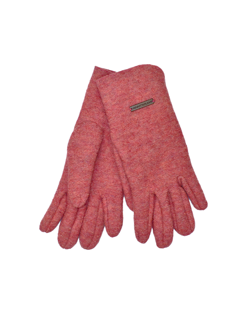 NN Fall gloves