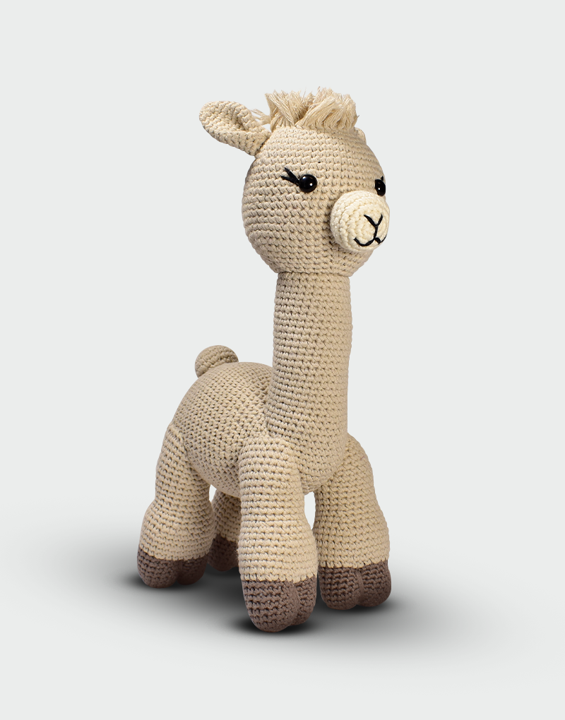 Paco Alpaca
