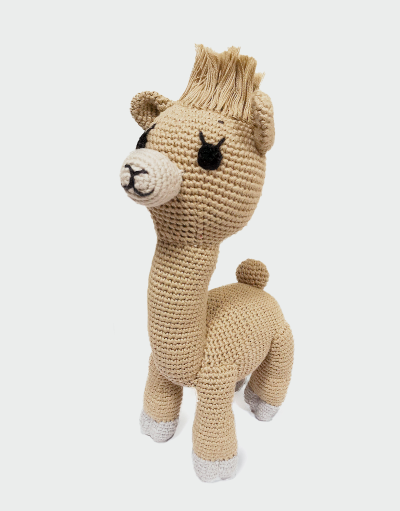 Paco Alpaca