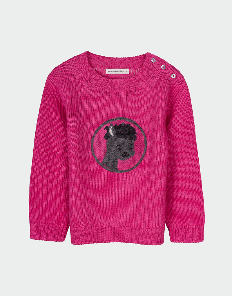 Paco Sweater
