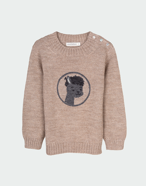 Paco Sweater