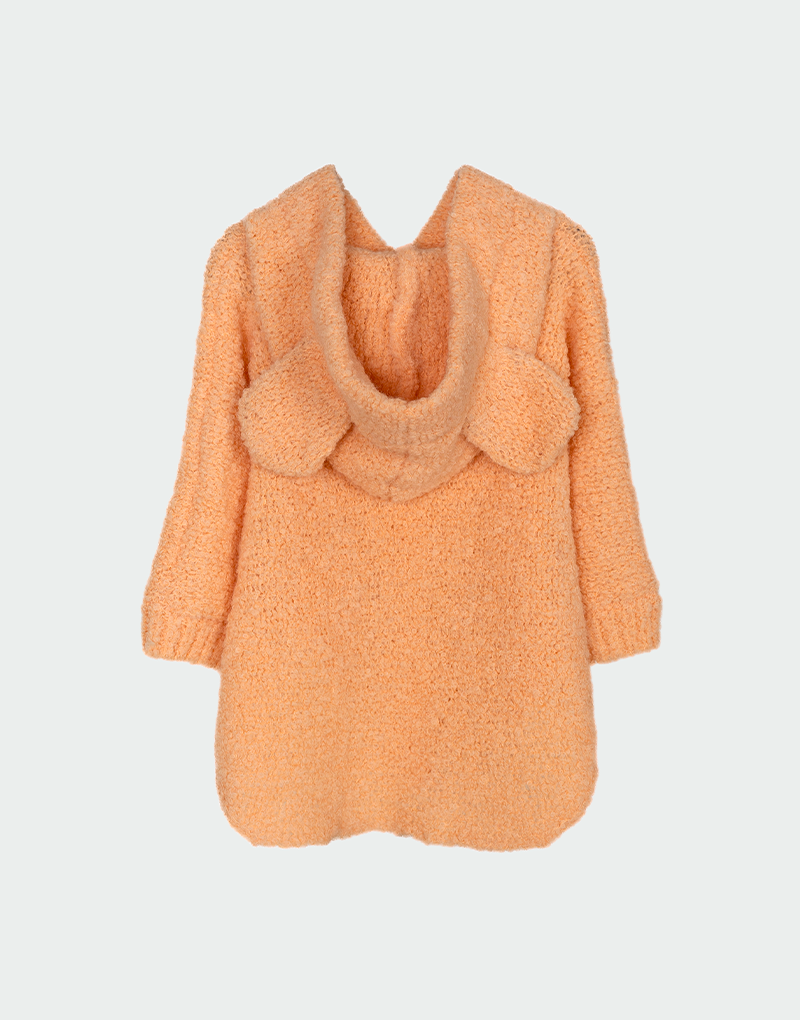 Super Kid Poncho